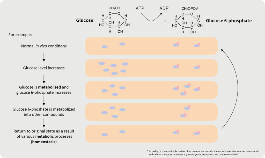 Metabolosomes Color Metabolomics | Human Metabolome Technologies