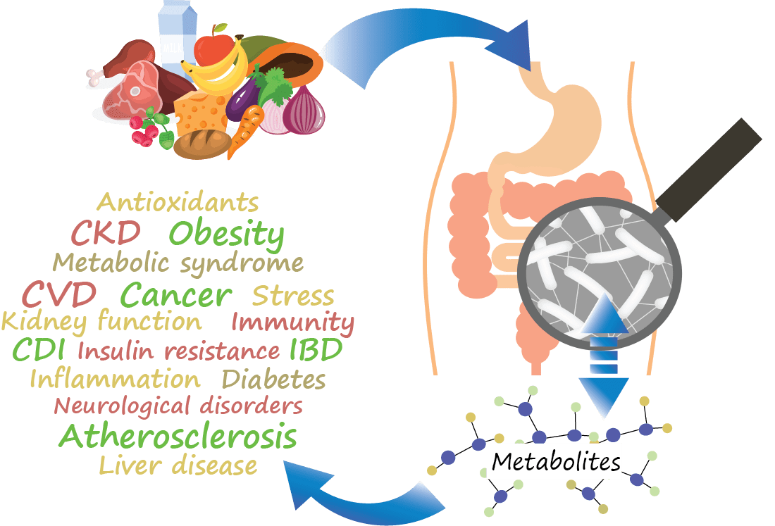 Microbiome_overview