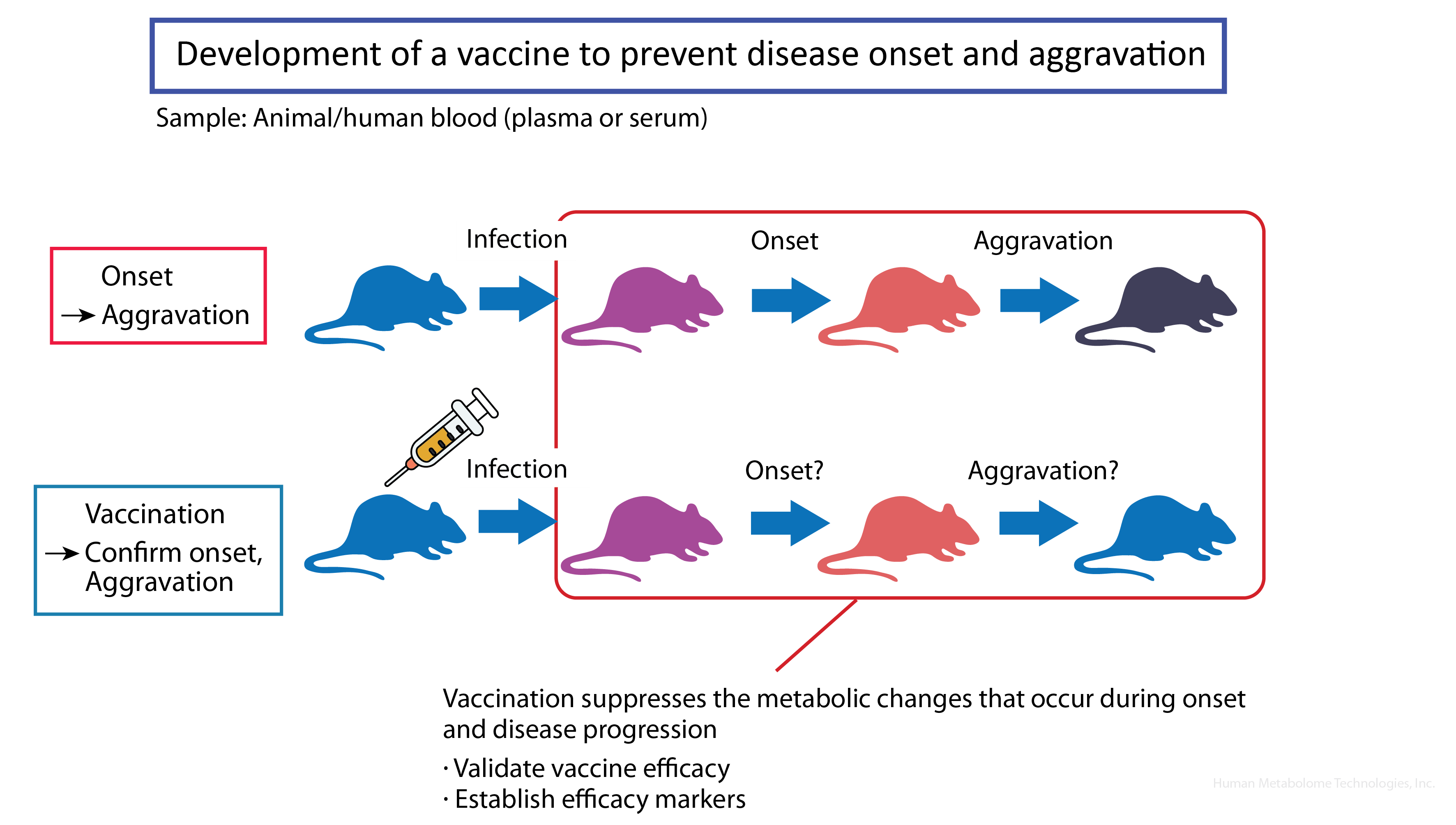 Infectious Disease×Metabolomics | ヒューマン・メタボローム・テクノロジーズ株式会社