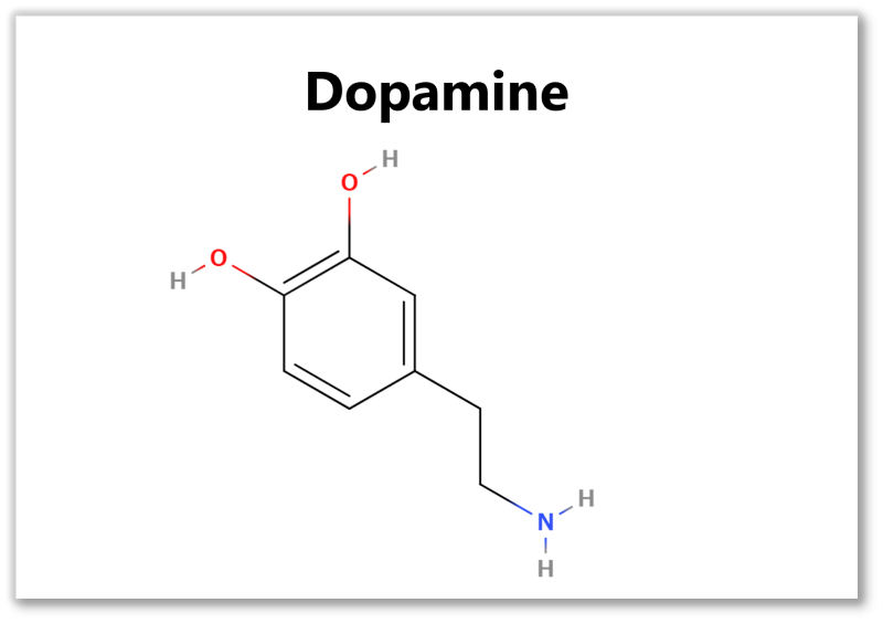 ドーパミン