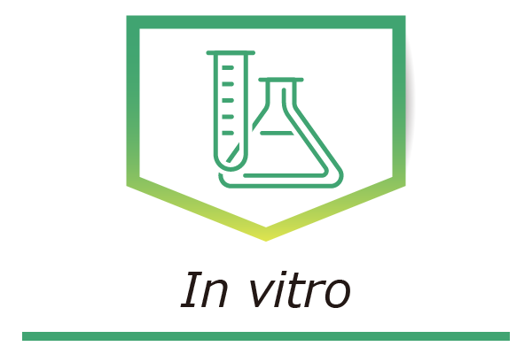 In vitro