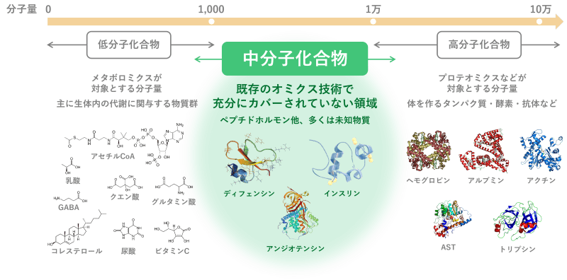 中分子とは