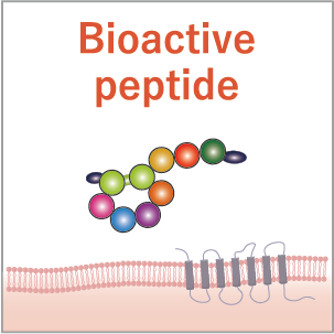 解析プラン特徴｜生理活性ペプチド測定