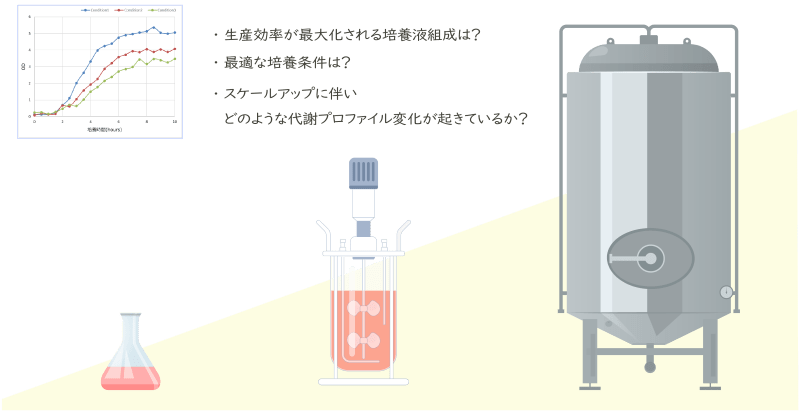 生産性向上の最適化