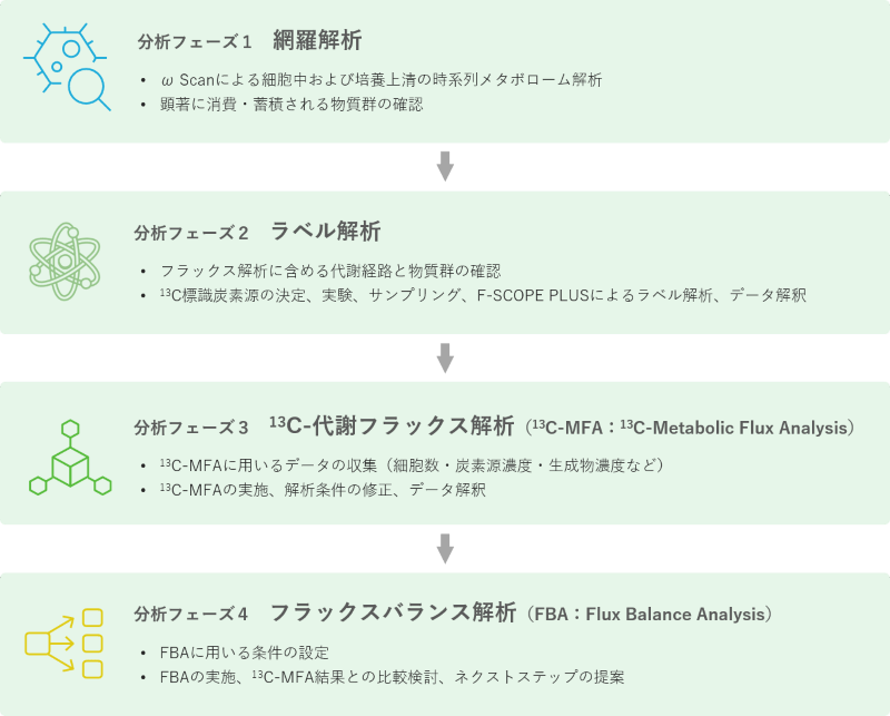 分析フェーズの標準的な流れ